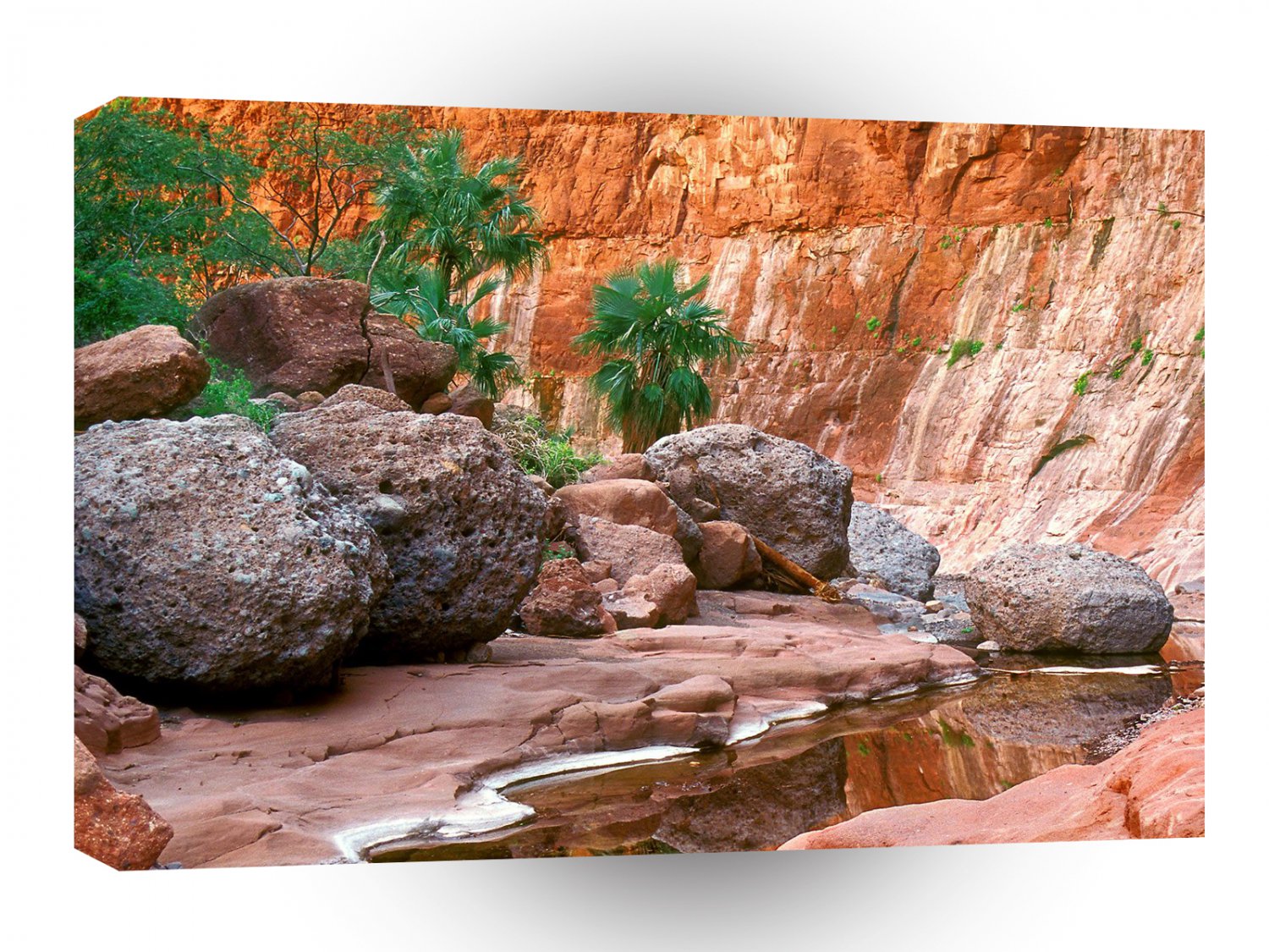 Canyon Hidden Oasis El Cajon Baja Mexico A1 XLarge Canvas