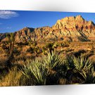 Canyon Red Rock Nevada A1 XLarge Canvas