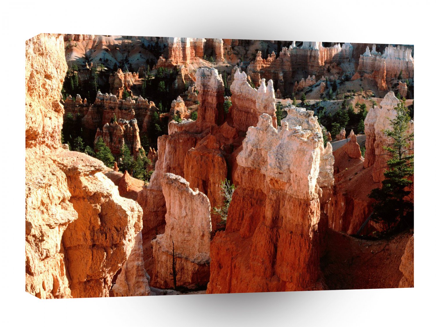 Canyon Tower View Bryce A1 XLarge Canvas