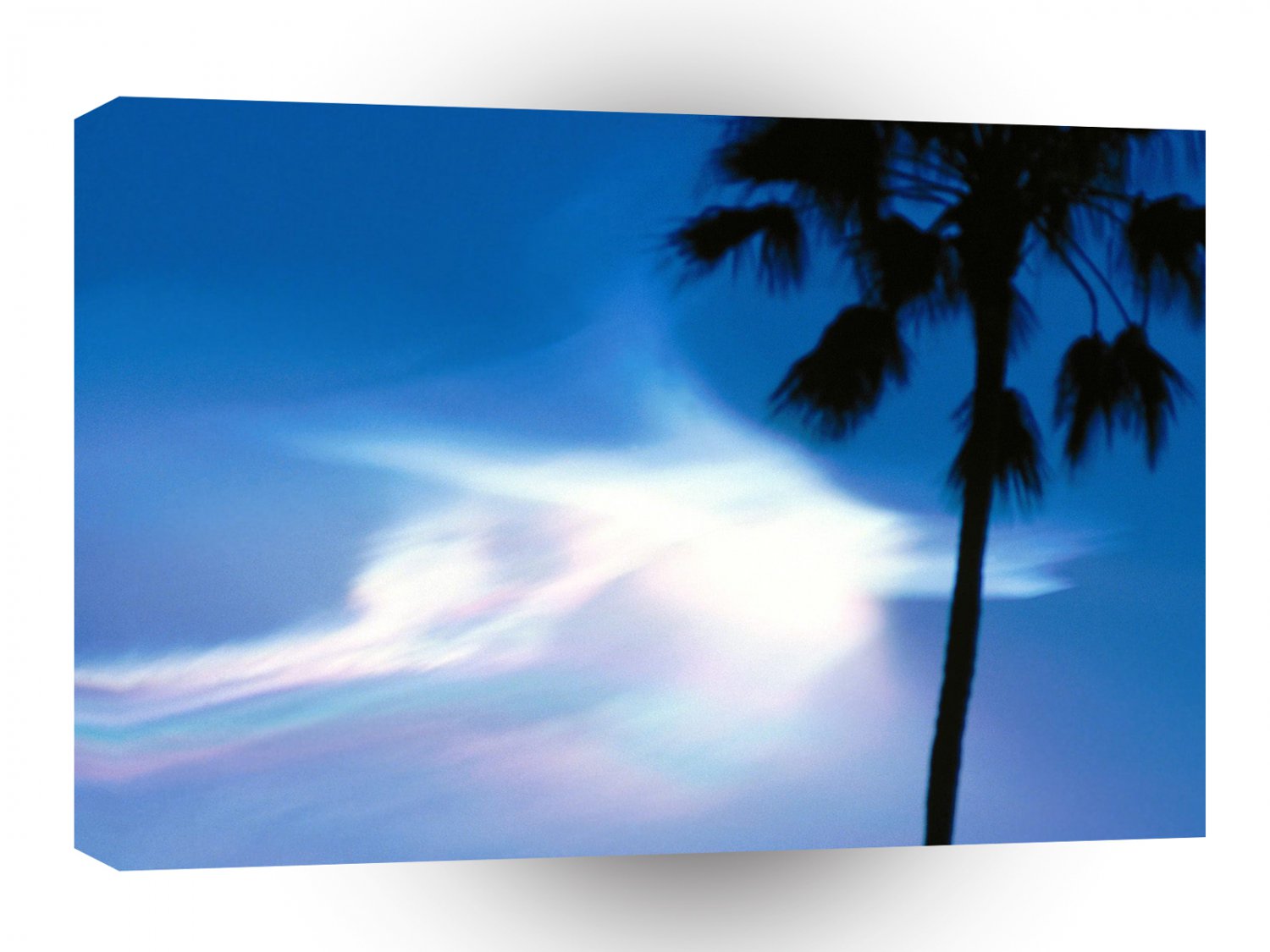 Clouds Rocket Dusk Pasadena A1 XLarge Canvas