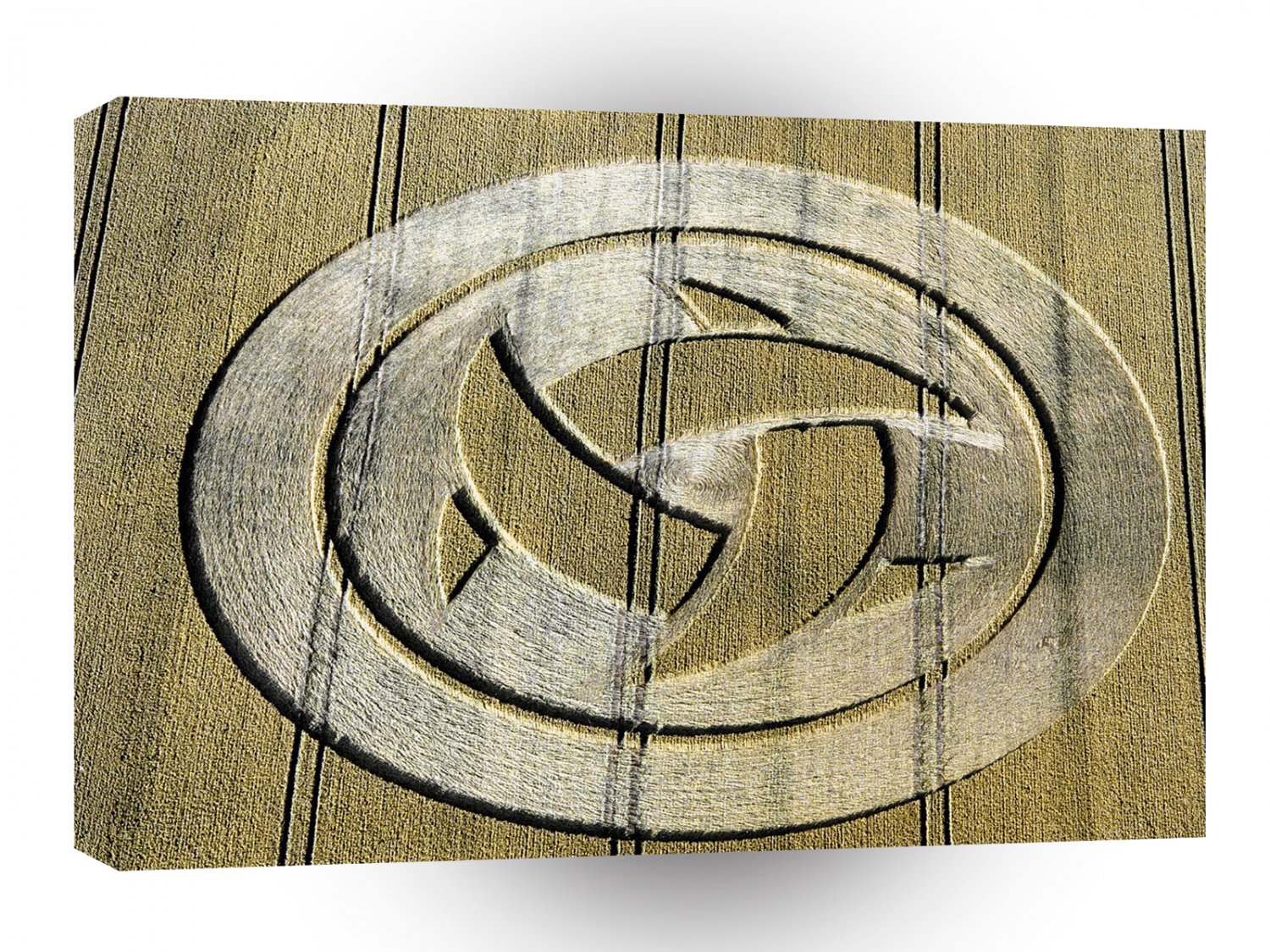 Crop Circle Crescent Moons Wiltshire A1 XLarge Canvas