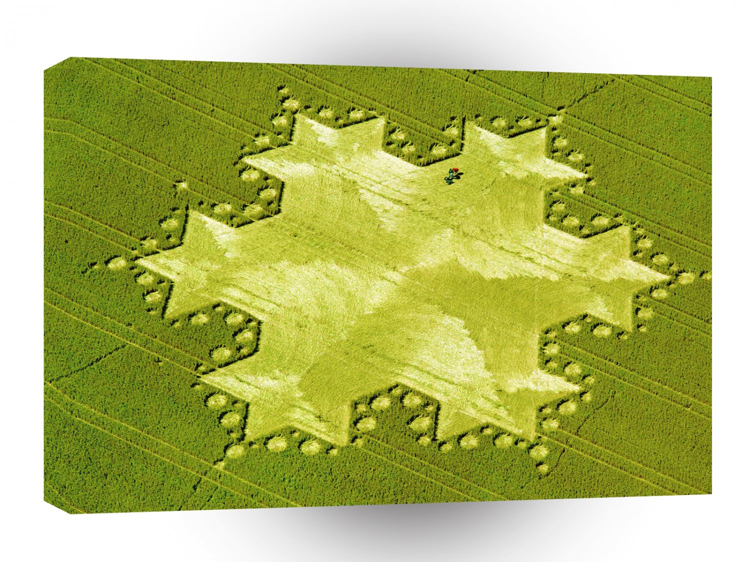 Crop Circle Koch Snowflake Silbury Hill 1997 A1 XLarge Canvas