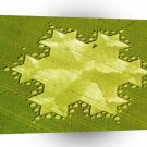 Crop Circle Koch Snowflake Silbury Hill 1997 A1 XLarge Canvas