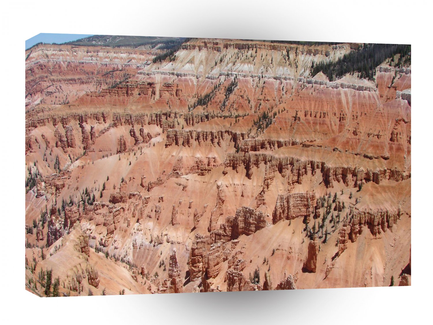 Desert Spikes Scene A1 XLarge Canvas