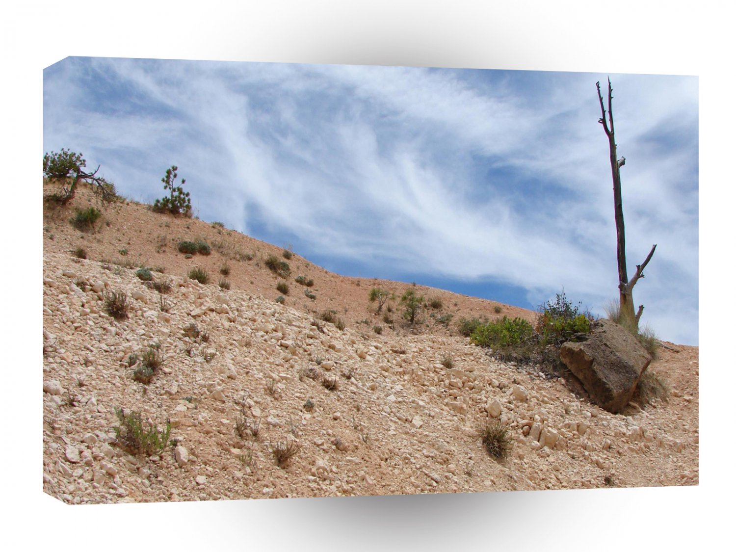 Desert Tree And Sky A1 XLarge Canvas
