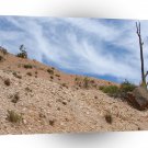 Desert Tree And Sky A1 XLarge Canvas
