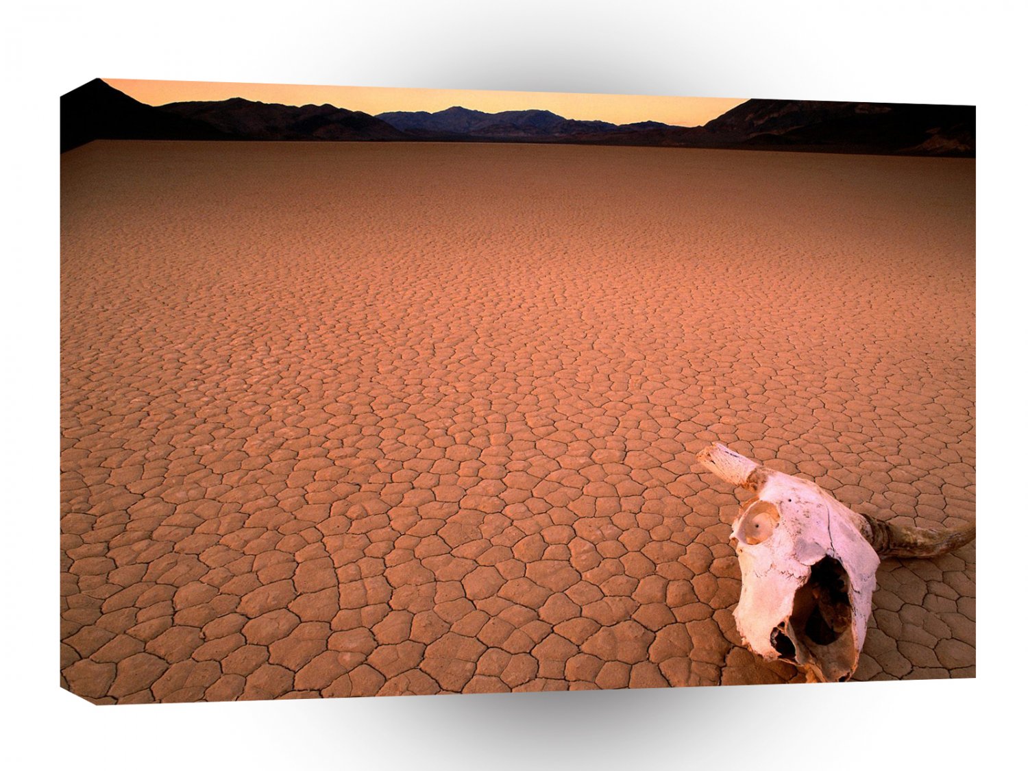 Deserts Bone Dry Death Valley A1 XLarge Canvas