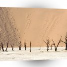 Deserts Dead Ulei Namib Namibia Africa A1 XLarge Canvas