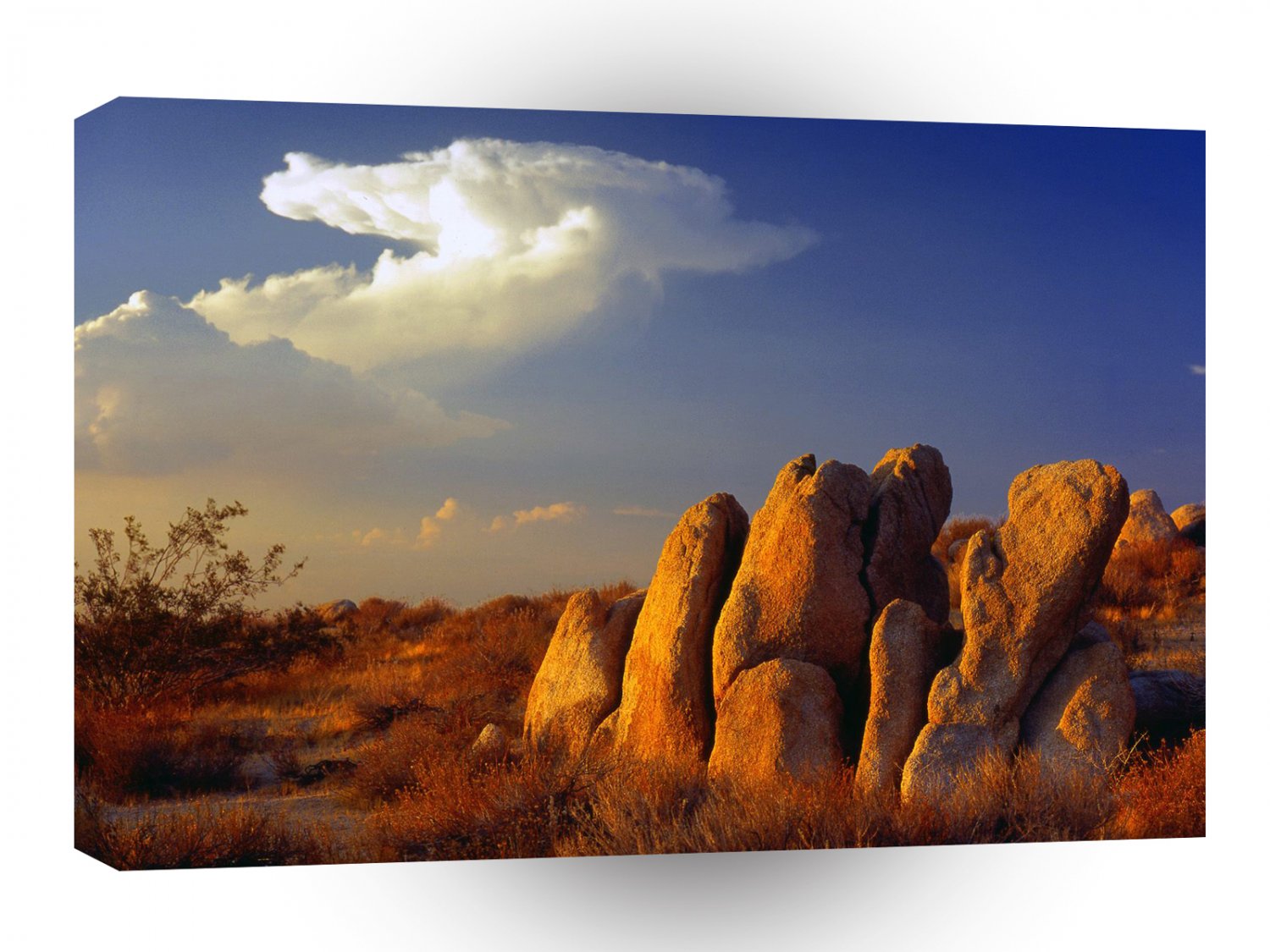 Deserts Distant Thunder Mojave A1 XLarge Canvas