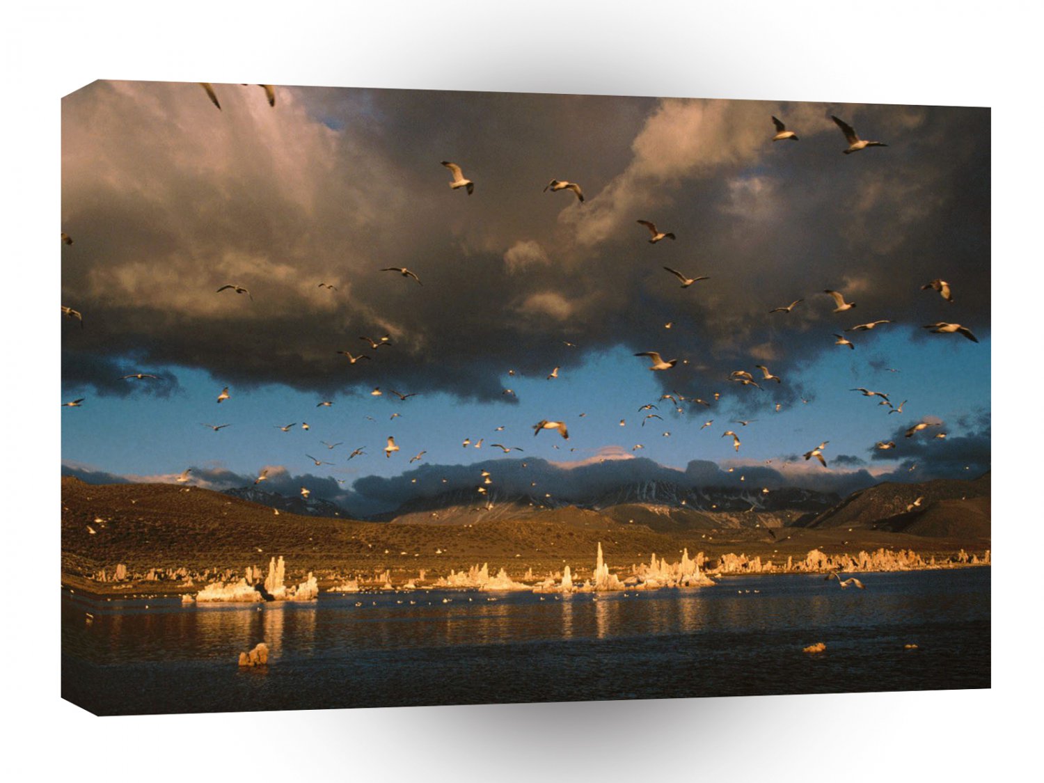Lake Mono Storm A1 XLarge Canvas