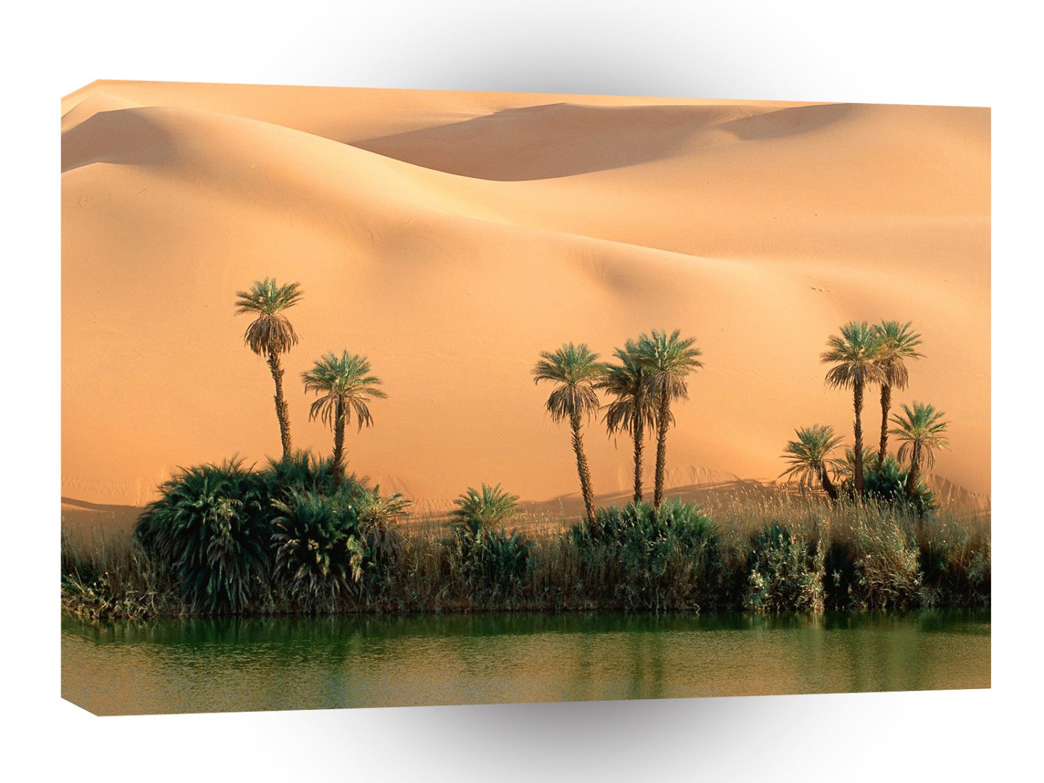 Lake Ouem El Ma Libya A1 XLarge Canvas