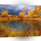 Lake Peggys Pond A1 XLarge Canvas