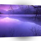 Lake Purple Haze Crescent Olympic Park A1 XLarge Canvas