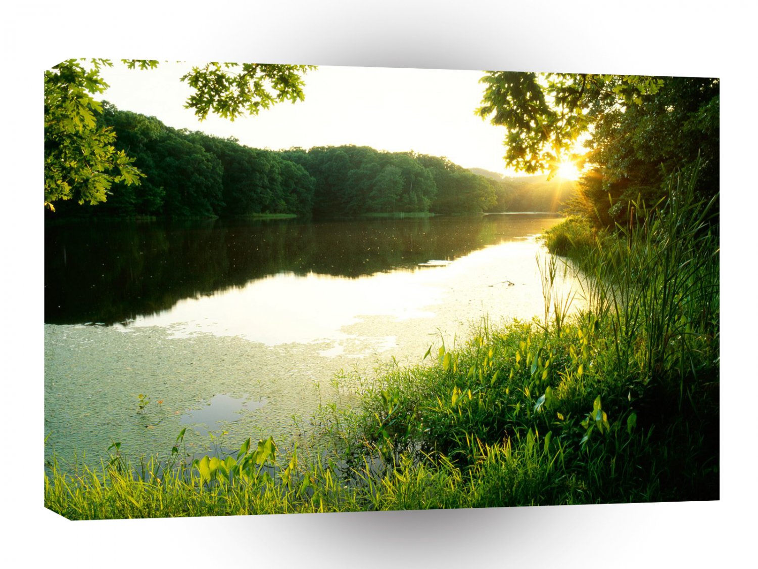 Lake Schlamm At Sunset Clark State Forest Indiana A1 XLarge Canvas