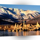 Lake Sea Of Microscopie Life Mono Sierra Nevada A1 XLarge Canvas