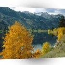 Lake Twinsawtooth Toiyabe Forest A1 XLarge Canvas