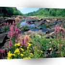 Lake Wisconsin River Ice Age Reserve Wisconsin A1 XLarge Canvas