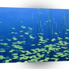 Lake Woahink Jessie Honeyman State Park Oregon A1 XLarge Canvas