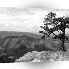 Mountain Blue Ridge A1 XLarge Canvas