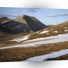 Mountain Caribou On Springtime Arctic Alaska A1 XLarge Canvas