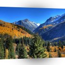 Mountain Center Creek Forest A1 XLarge Canvas