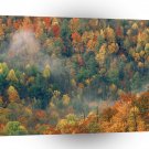 Mountain Colorful Autumn Forest Great Park A1 XLarge Canvas