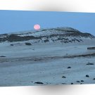 Mountain Elephant Seals Channel Islands A1 XLarge Canvas