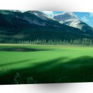 Mountain In Back Garden A1 XLarge Canvas
