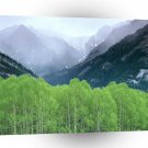 Mountain Mist Alberta A1 XLarge Canvas