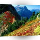 Mountain North Cascades In Autumn Baker A1 XLarge Canvas