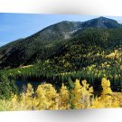 Mountain Sea Of Yellow A1 XLarge Canvas