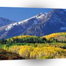 Mountain Sneffels National Forest A1 XLarge Canvas