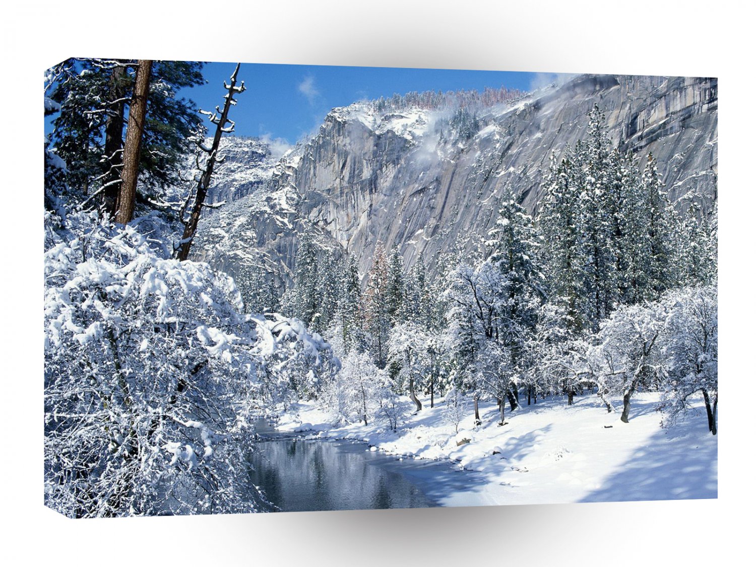 Mountain Snow Flocks Yosemite Par A1 XLarge Canvas