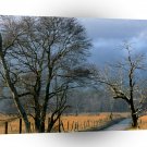 Mountain Sparks Cove Great Park A1 XLarge Canvas