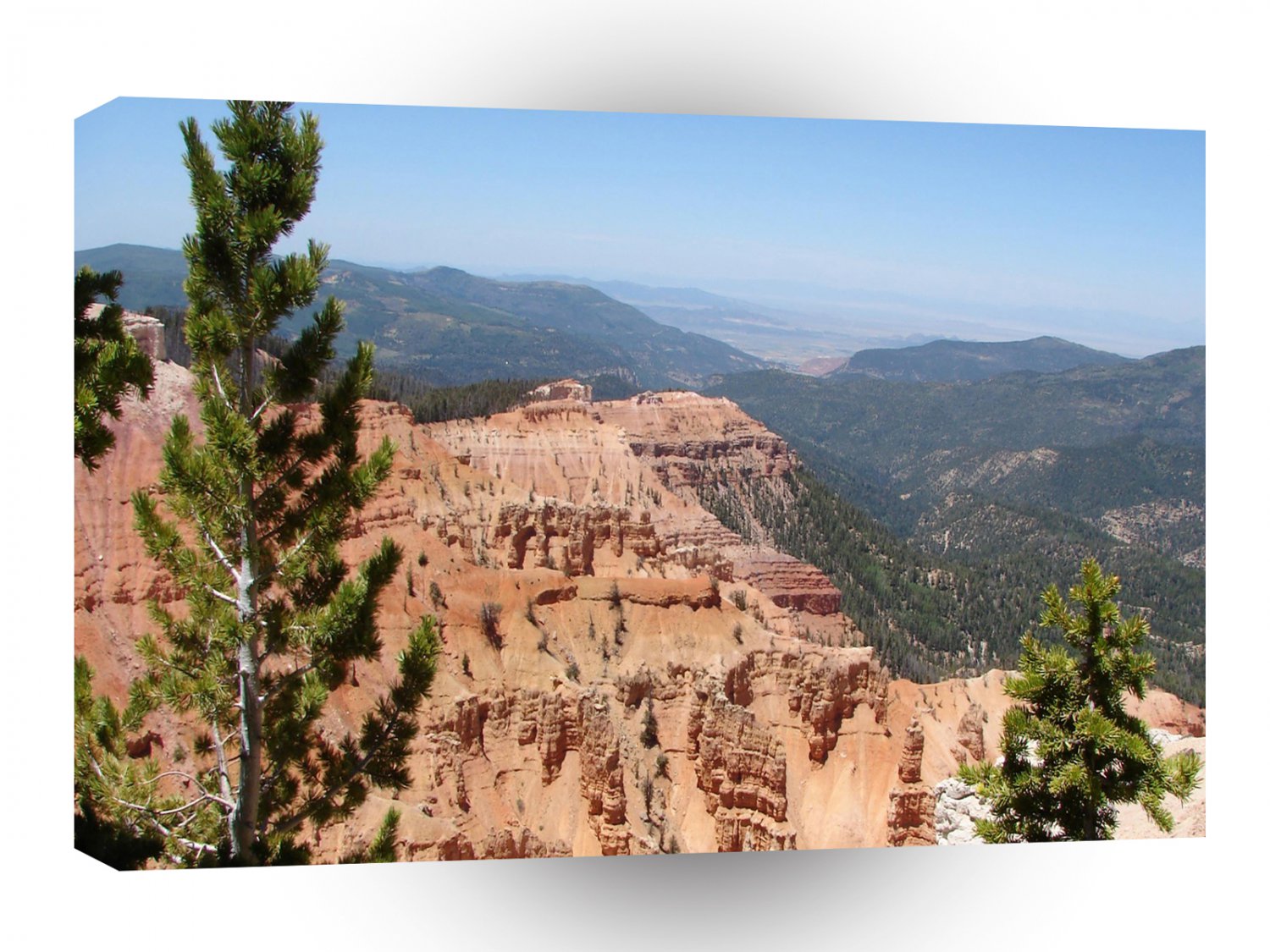 Mountain Tree Landscape X A1 XLarge Canvas