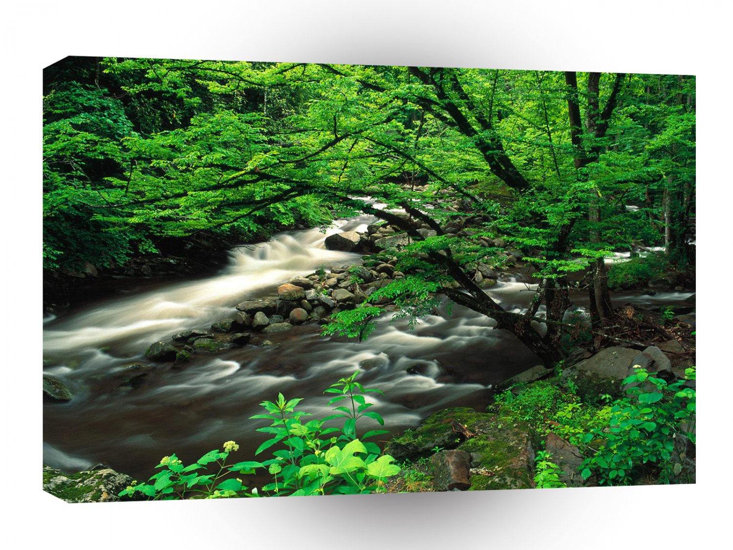 Mountain Tremont Great Park A1 XLarge Canvas