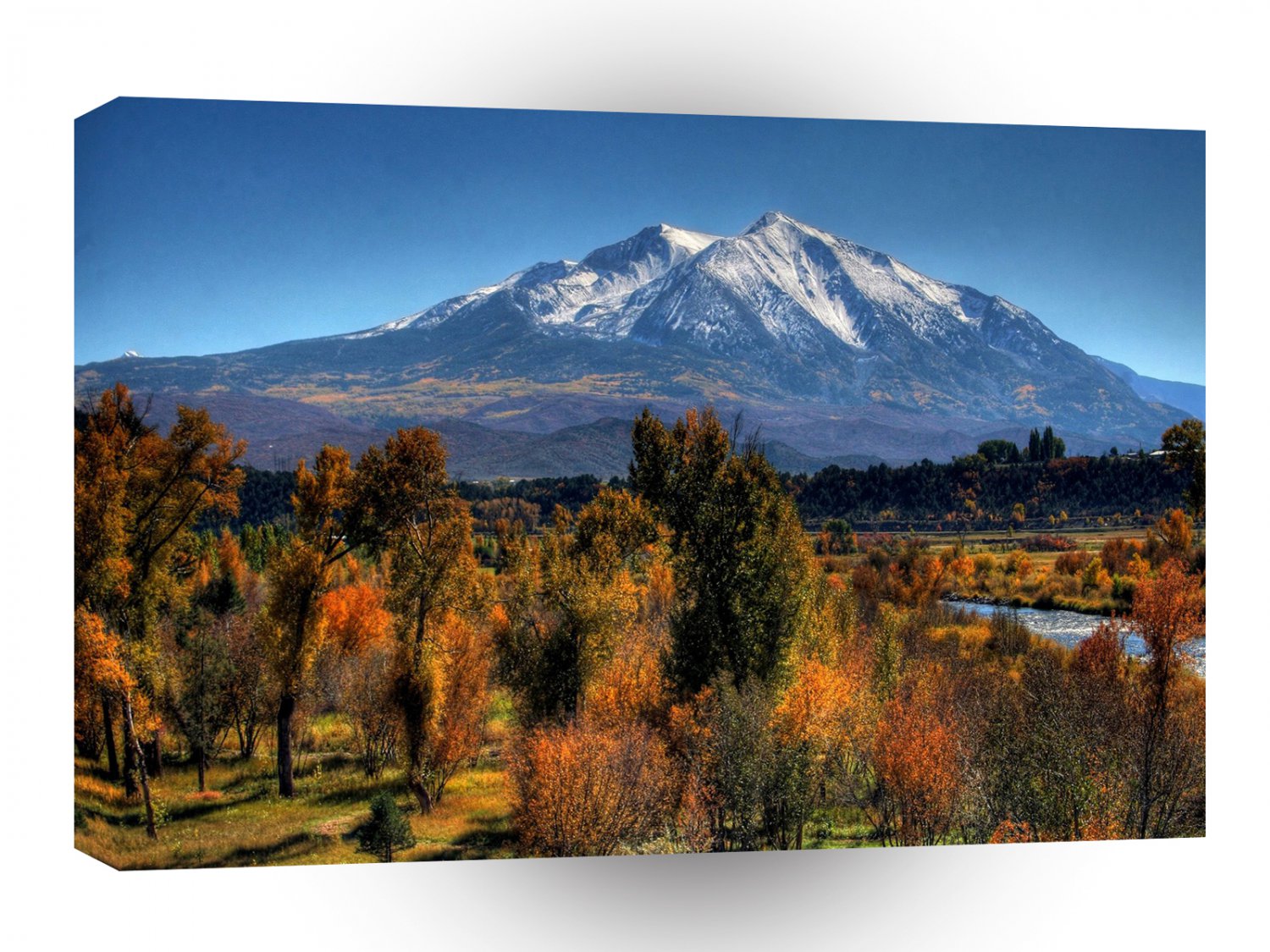 Mountain Warm Forest Cool Top A1 XLarge Canvas