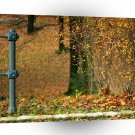 Nature Autumn Into The Woods A1 XLarge Canvas