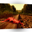 Nature Autumn On The Tracks A1 XLarge Canvas