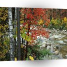 Nature Autumn Ready For Fall A1 XLarge Canvas