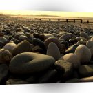 Nature Beach Pebble Friends A1 XLarge Canvas