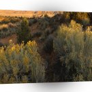 Nature Canyon Desert Brush A1 XLarge Canvas