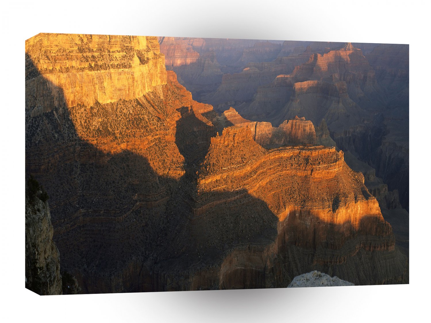 Nature Canyon Sunlight A1 XLarge Canvas