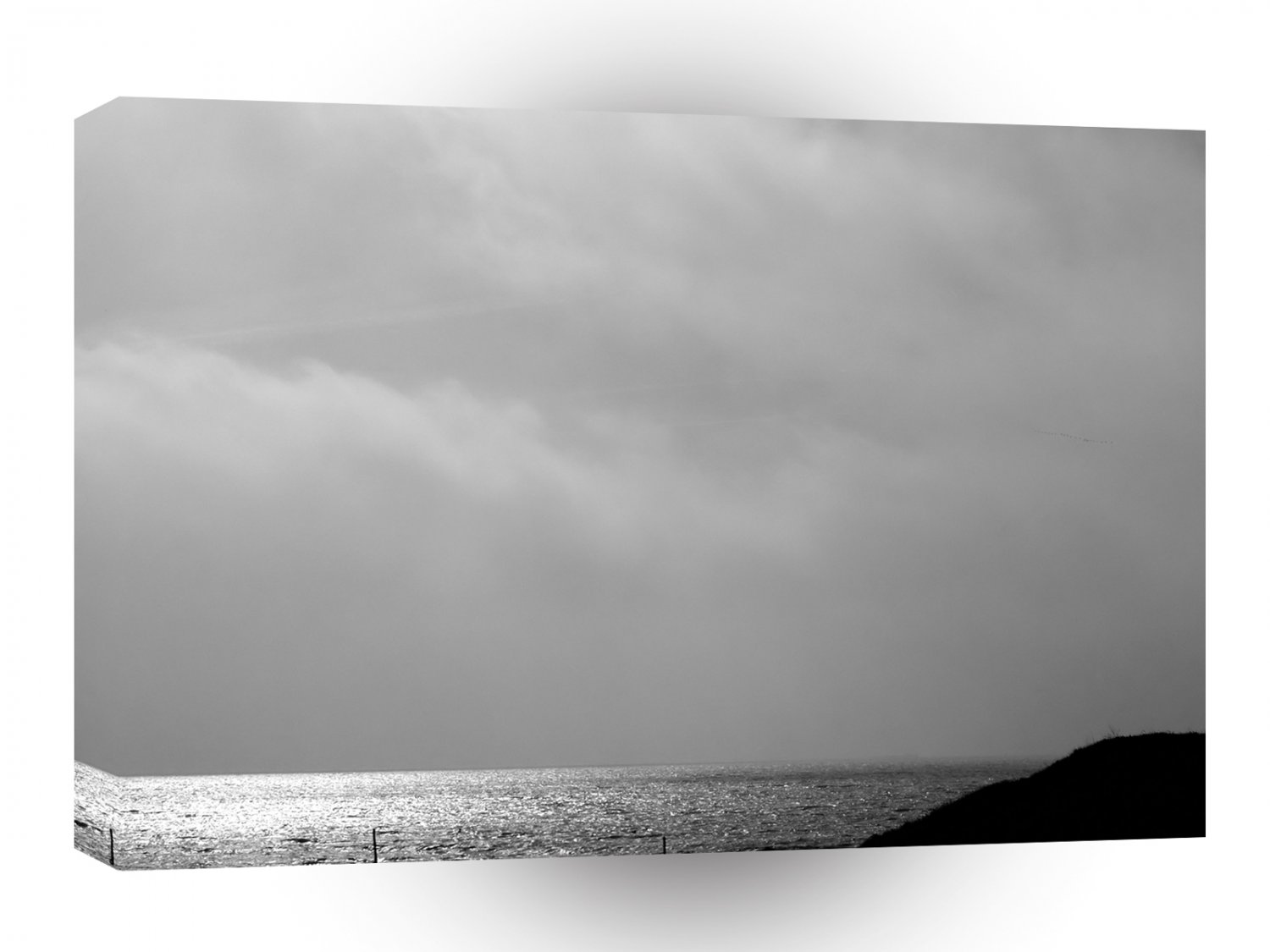 Nature Coast Thoughtful Black White A1 XLarge Canvas