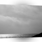 Nature Coast Thoughtful Black White A1 XLarge Canvas