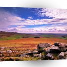 Nature Countryside Multi Coloured Life A1 XLarge Canvas