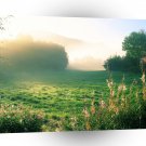 Nature Dawn Of Summer A1 XLarge Canvas
