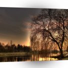 Nature Dusk After Glowing Reflection A1 XLarge Canvas