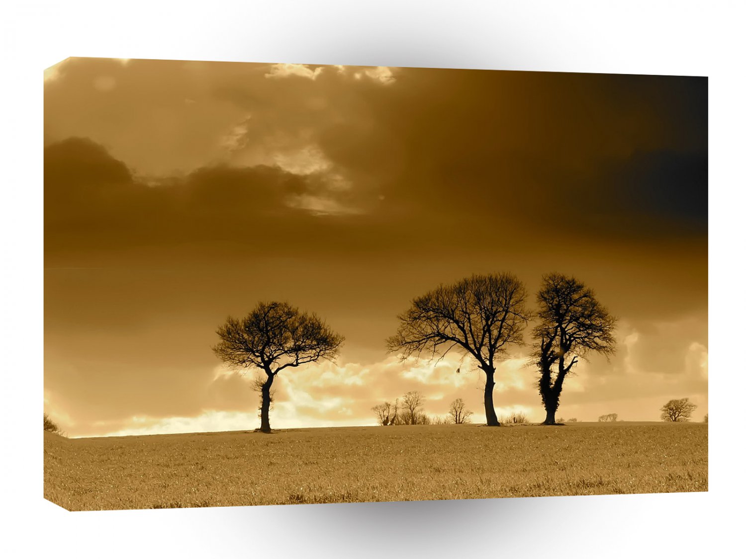 Nature Dusk Mellow Yellow A1 XLarge Canvas