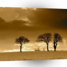 Nature Dusk Mellow Yellow A1 XLarge Canvas